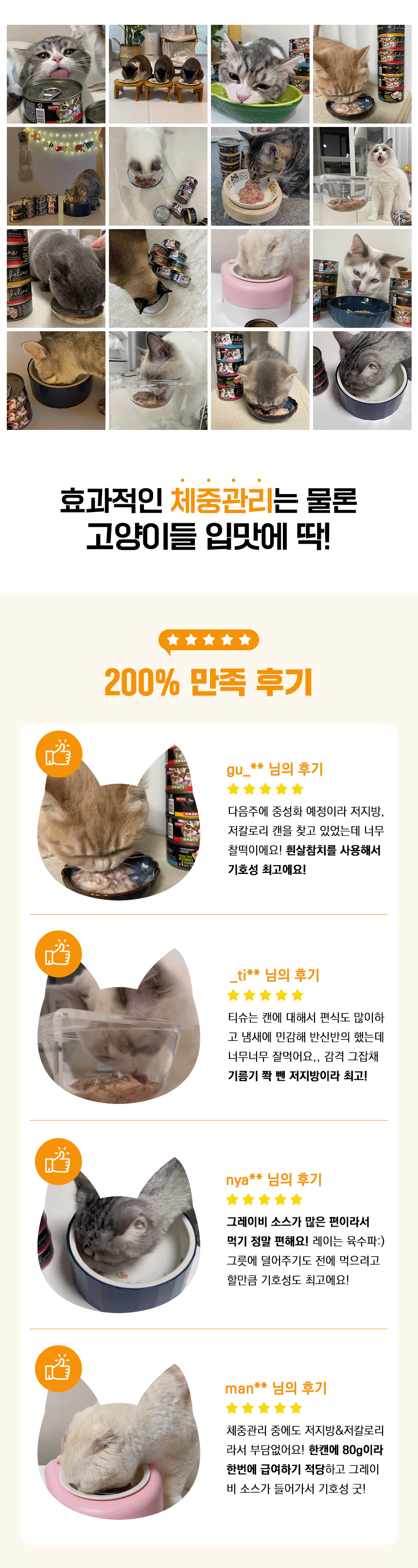 [심쿵펫페어][무료배송] [24개] 데이스포 캣 필라인 캔 흰살참치와 새우 그레이비 80g 1번째