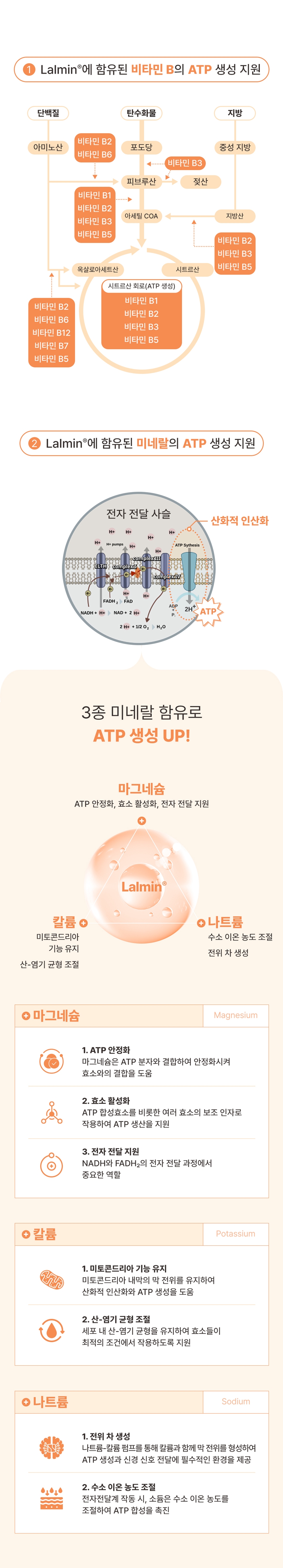 [NEW신상][무료배송] 브랜바인 일렉트로라이트 셀벳 피로회복 탈수 완화 전해질 보충 (54g) 6번째