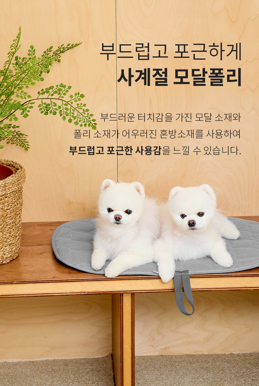 [무료배송] 페리가토 피크닉 방석 강아지 휴대용 산책 매트 7번째