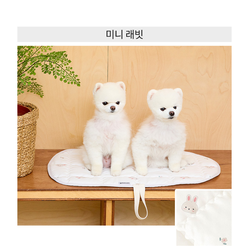 [무료배송] 페리가토 피크닉 방석 강아지 휴대용 산책 매트 21번째