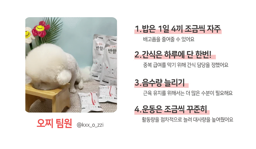 [NEW신상][무료배송] 반할끼니 2종 샘플 맛보기 100g 29번째