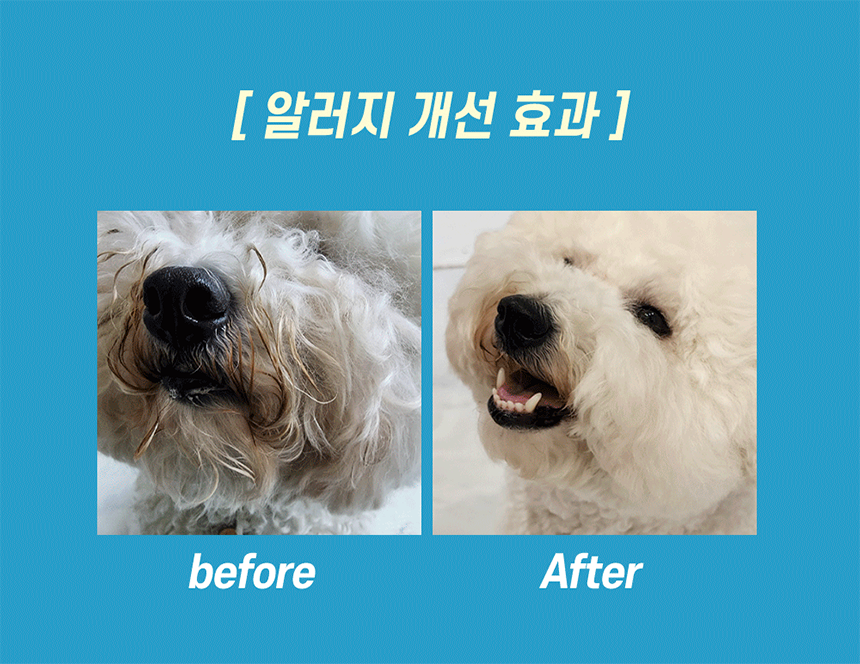 [NEW신상][무료배송] 반할끼니 2종 샘플 맛보기 100g 11번째