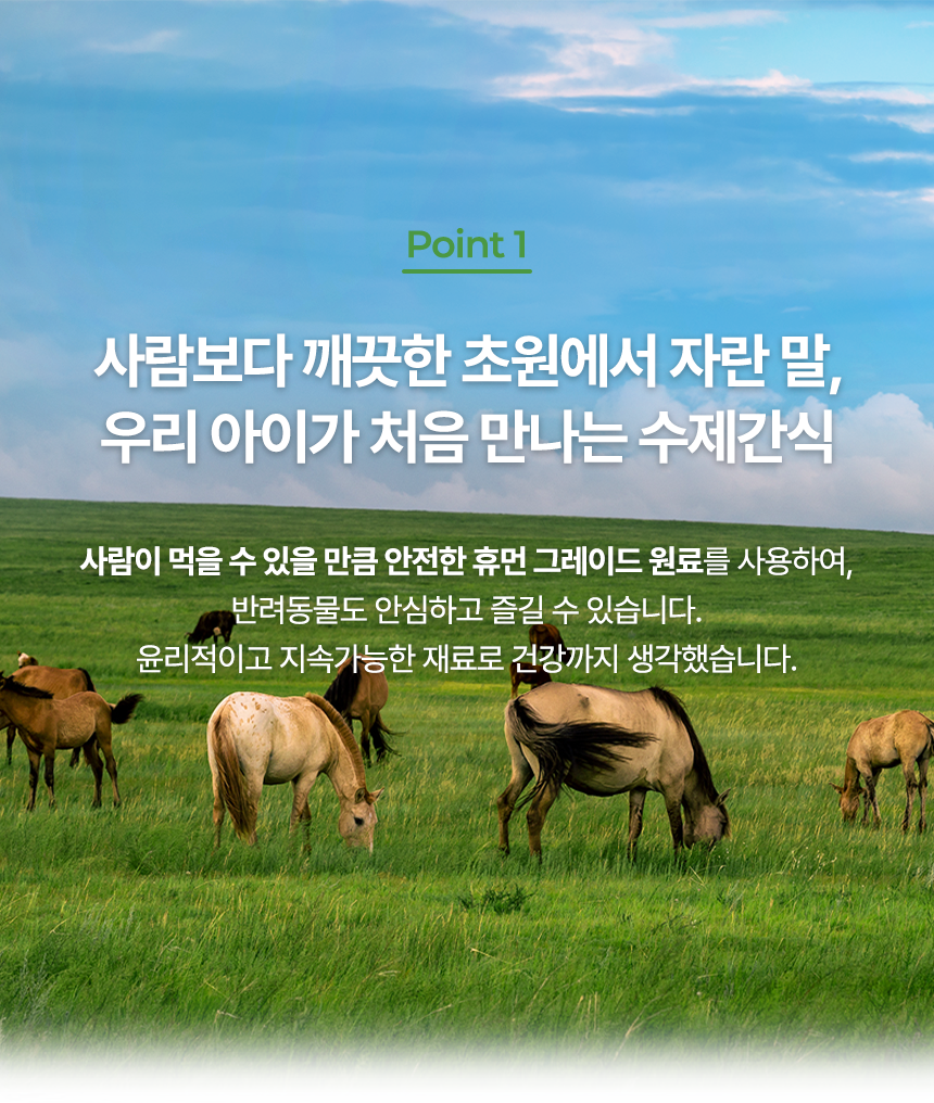 [NEW신상][무료배송] 벨체르 프리미엄 저알러지 말고기 허파 30g 15번째