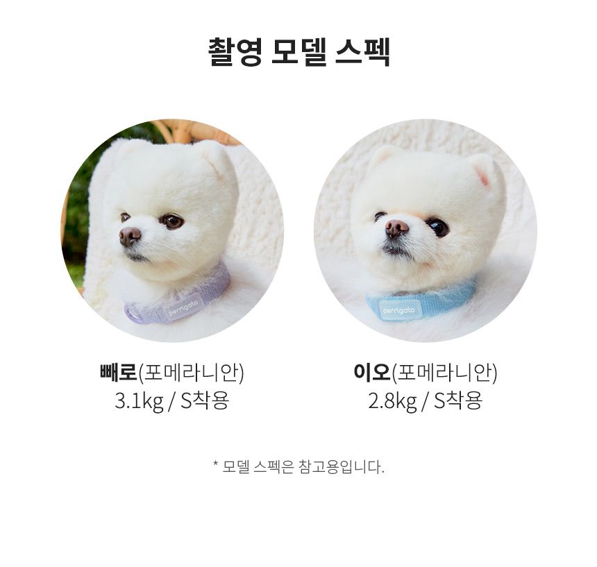[무료배송] 페리가토 독 세이프 케어프리 목줄 퍼플/블루/베이지/그레이/그린 S-L 20번째