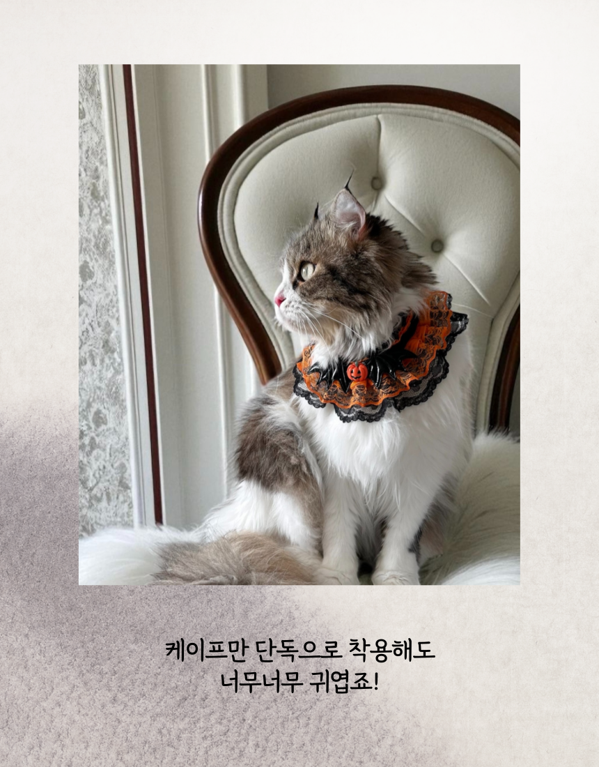 [NEW신상][무료배송] 미누레브 할로윈 케이프+머리띠 세트 3번째