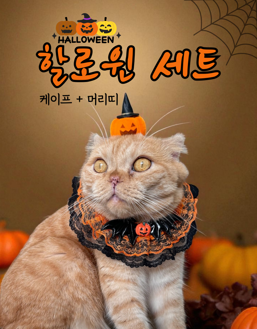 [NEW신상][무료배송] 미누레브 할로윈 케이프+머리띠 세트 1번째