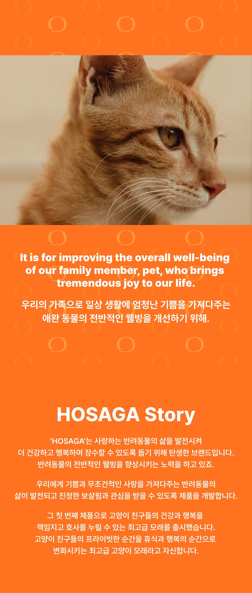 [NEW신상][무료배송] 호사가 프리미엄 벤토나이트 6.3kg 2번째
