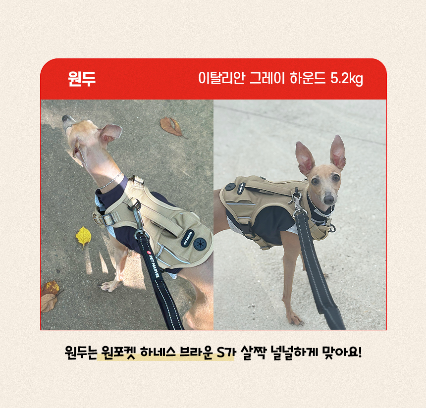 [NEW신상][무료배송] 펫마블 원포켓 하네스 중형견 대형견 가슴줄 4번째