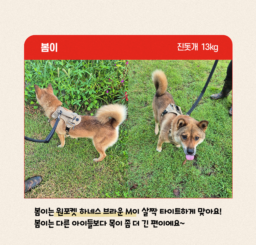 [NEW신상][무료배송] 펫마블 원포켓 하네스 중형견 대형견 가슴줄 6번째