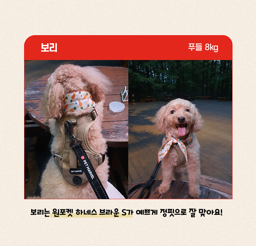 [NEW신상][무료배송] 펫마블 원포켓 하네스 중형견 대형견 가슴줄 2번째
