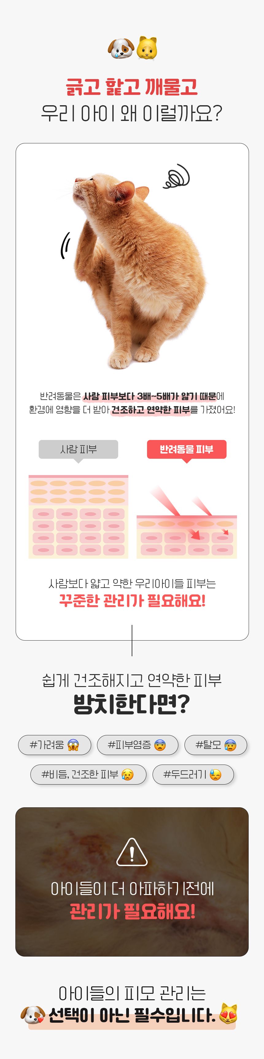 [무료배송] 리스펫 모이스쳐 미스트 150ml 1번째