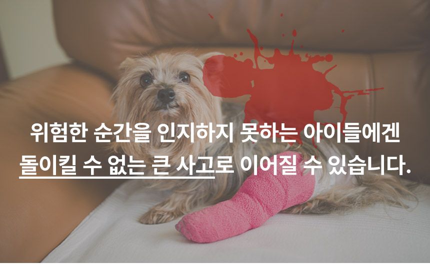 [무료배송] 초코펫하우스 논슬립스텝 2.0 소형 그레이/베이지/민트/핑크 11번째