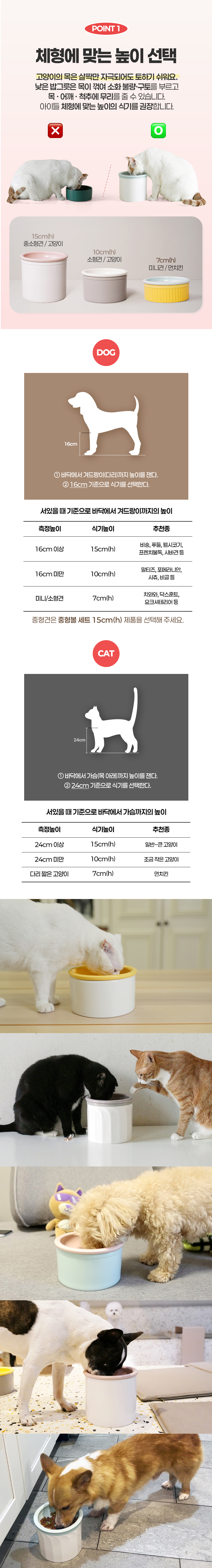 [무료배송] 보울보울 미니견/먼치킨 밥그릇 헬로볼 세트 7cm(h) 3번째