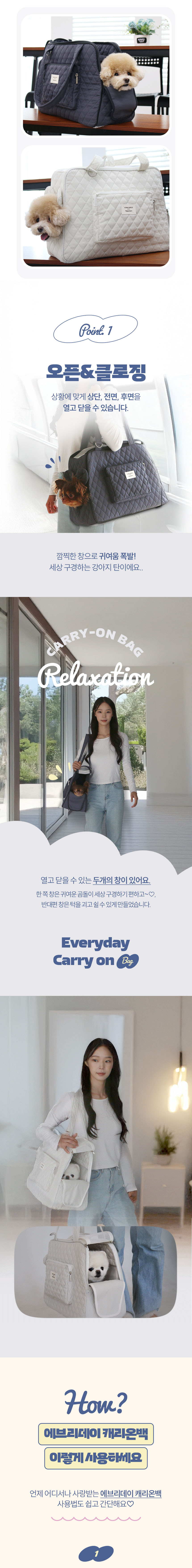 [NEW신상][무료배송] 초코펫하우스 독 이동가방 에브리데이 캐리온백 2번째