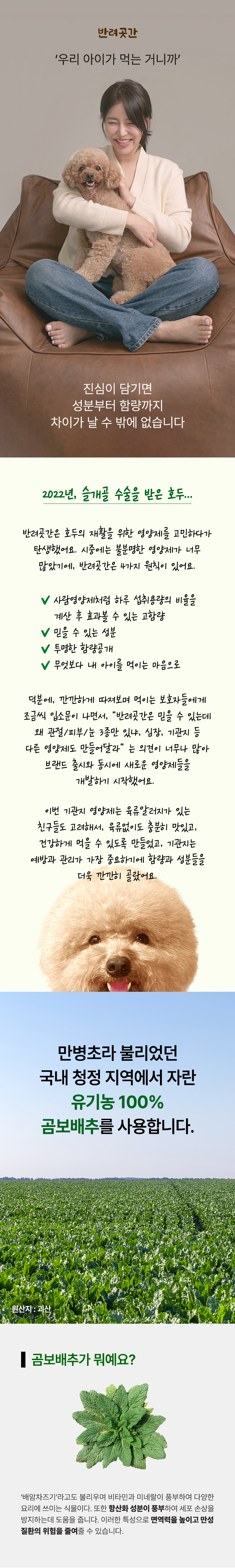 [무료배송] 반려곳간 독 기관지영양제 트리플솔루션 기관지케어 1박스 30개입 2번째