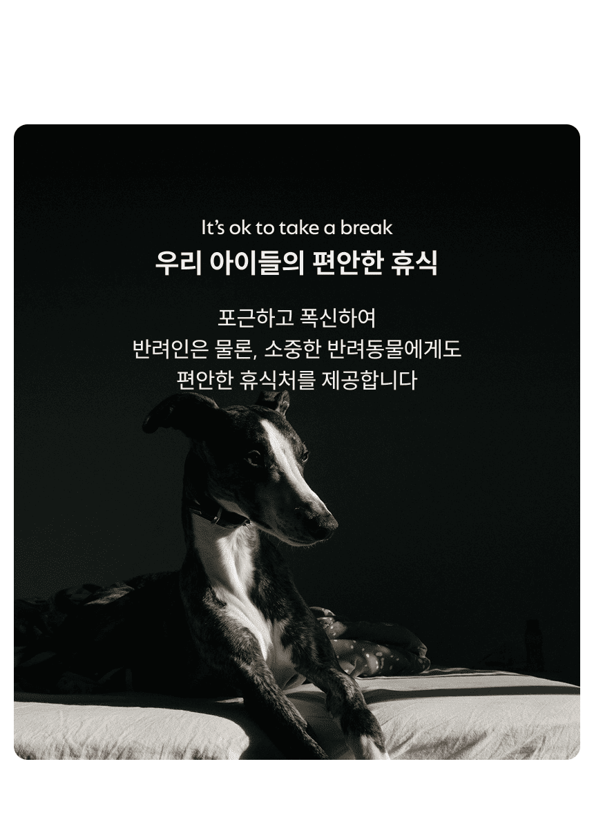 [NEW신상][무료배송] 체고케어 트위드 카페트 생활방수 먼지없는 털안붙는 러그 21번째