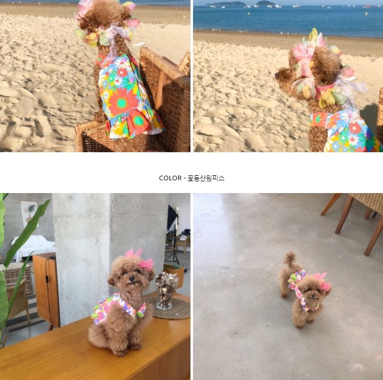 [무료배송] 찰리롤리 꽃동산 원피스 S-2XL 블루/노랑/핑크 1번째