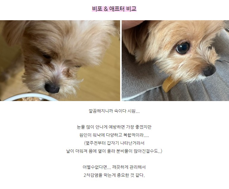 [무료배송] 디아팜 아이클리너 50ml 1번째