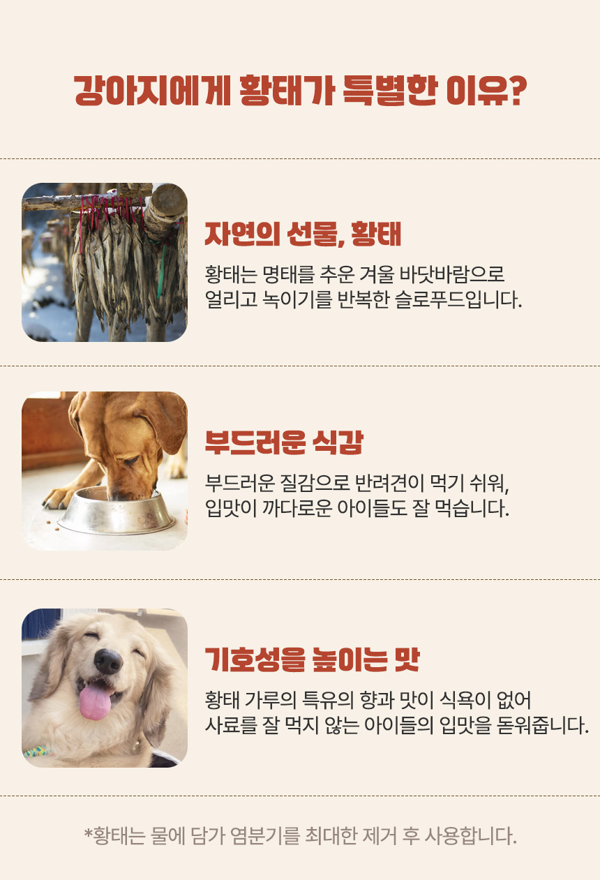 [무료배송] 펫토리아 한끼뚝딱 독 클래식 오리 1kg 20번째