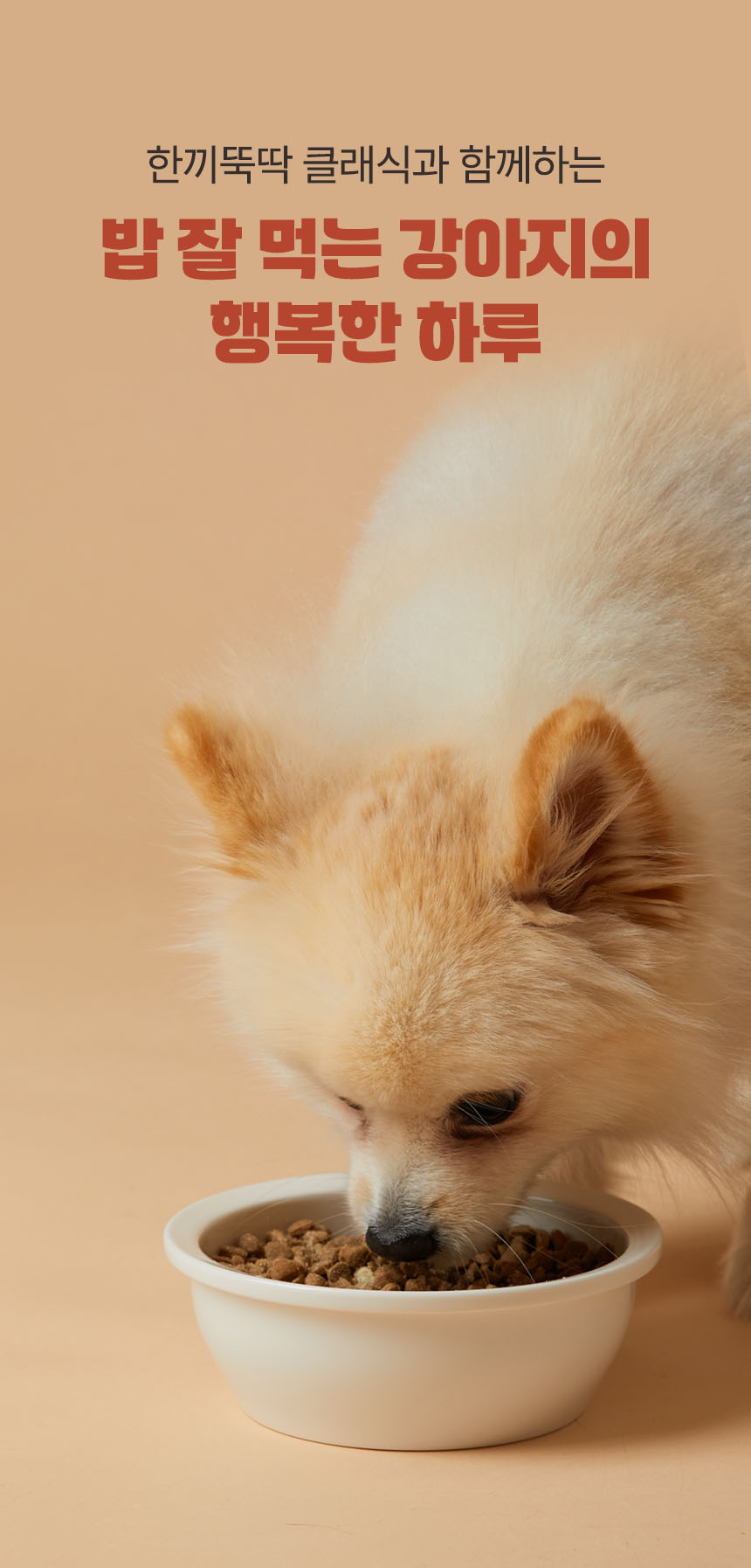 [무료배송] 펫토리아 한끼뚝딱 독 클래식 오리 1kg 14번째