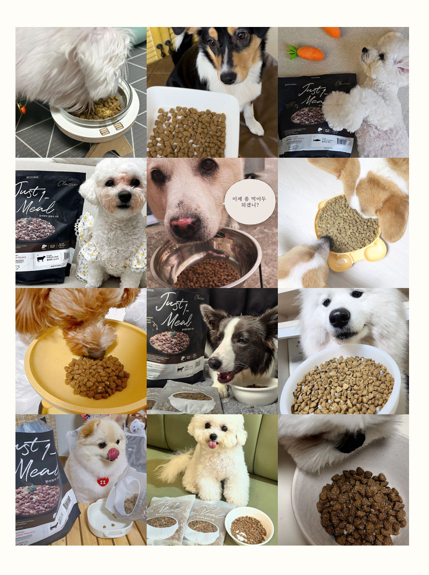 [무료배송] 펫토리아 한끼뚝딱 독 클래식 오리 1kg 9번째