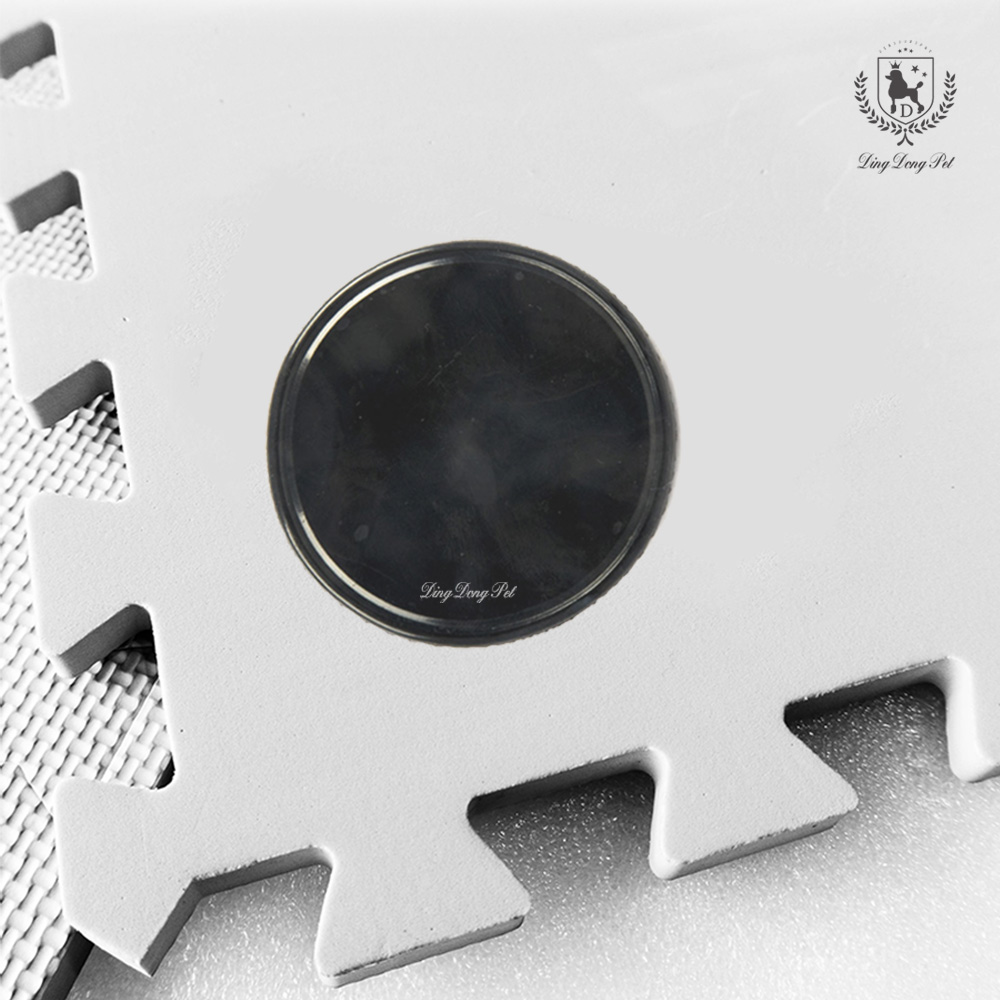 무료배송] 딩동펫 미끄럼방지 코인 논슬립패드 12P 강아지 용품 | 반려동물 1등 쇼핑몰 - 펫프렌즈