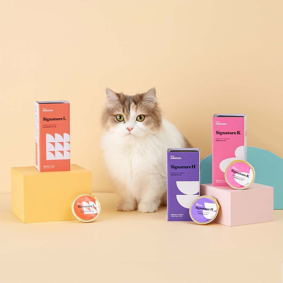 베츠솔루션 시그니처캔 K 신장 for cat 30g*6p 4번