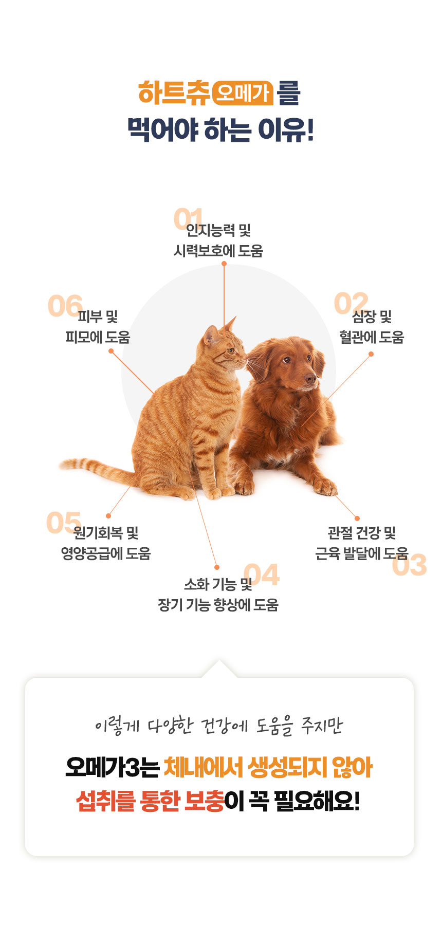 [무료배송] 닥터벳 하트츄 오메가3 영양제 30정 2번째