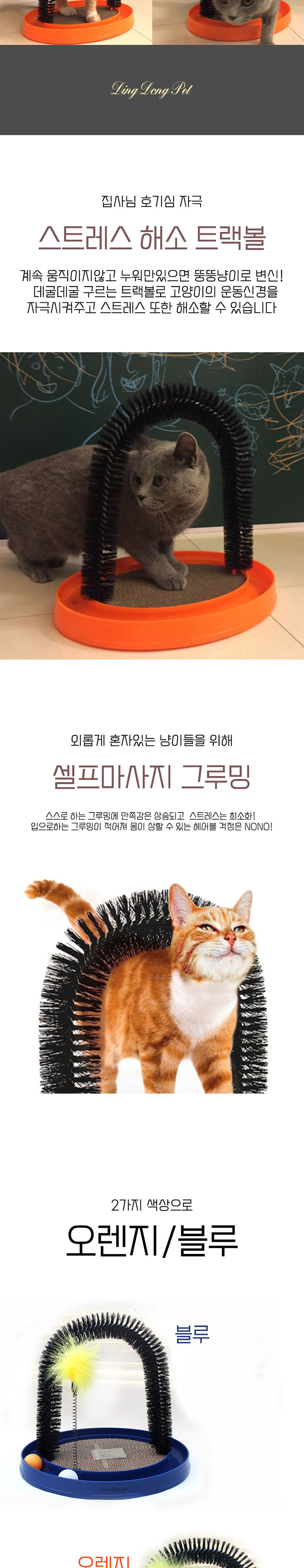 [무료배송] 딩동펫 고양이 캣닢 셀프 그루밍서킷 오렌지/블루 2번째