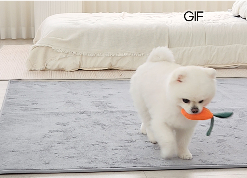 [무료배송] 레토 강아지 소프트 러그 LPM-R01 12번째