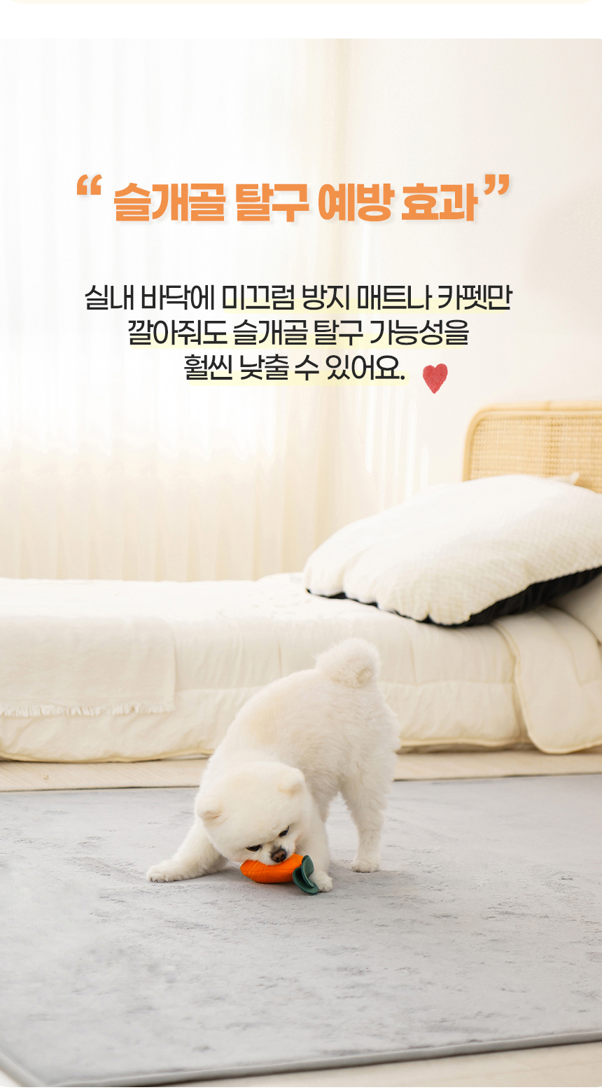 [무료배송] 레토 강아지 소프트 러그 LPM-R01 6번째