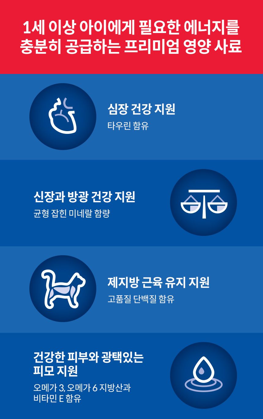 [심쿵펫페어][추가증정] 힐스 캣 어덜트 치킨 10kg  + 어덜트 스튜 치킨&라이스 79g 증정 2번째