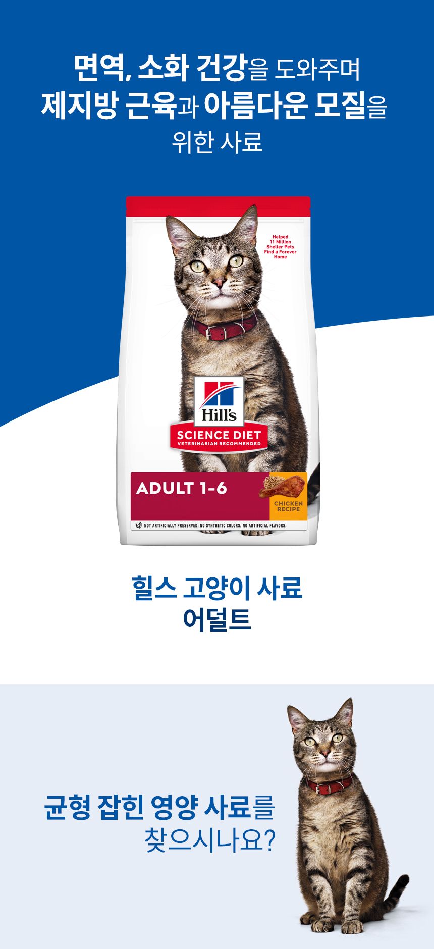 [심쿵펫페어][추가증정] 힐스 캣 어덜트 치킨 10kg  + 어덜트 스튜 치킨&라이스 79g 증정 1번째