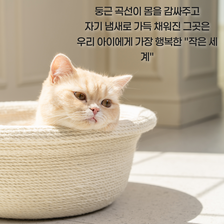 [NEW신상][무료배송] 프레이즈펫 바구니 라운드형 스크래쳐(화이트/브라운) 8번째