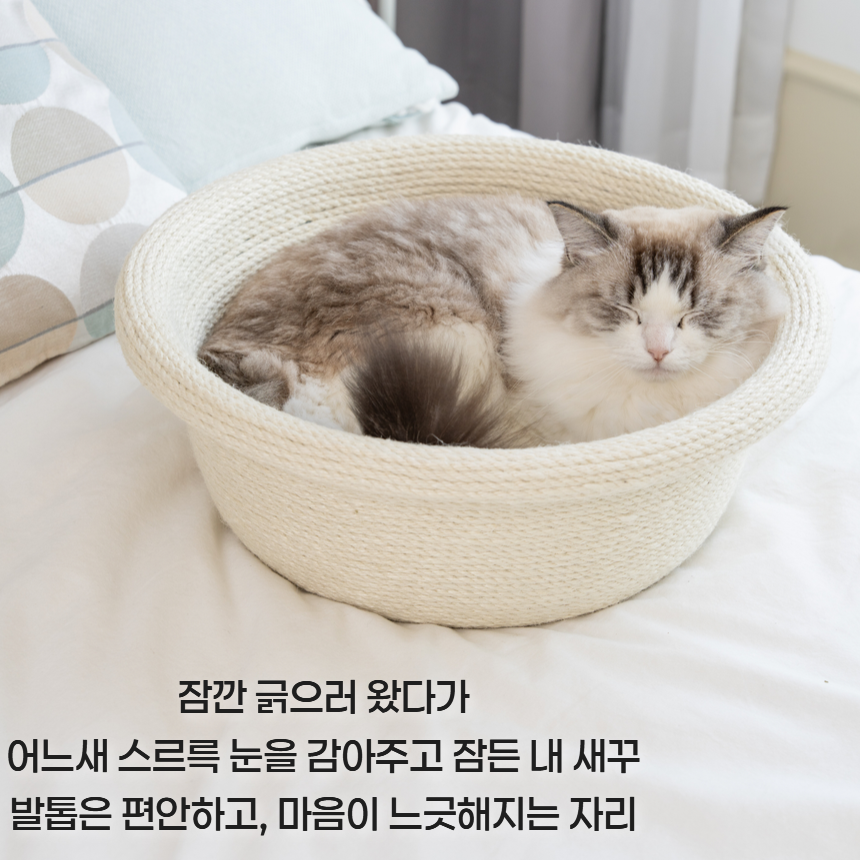 [NEW신상][무료배송] 프레이즈펫 바구니 라운드형 스크래쳐(화이트/브라운) 9번째