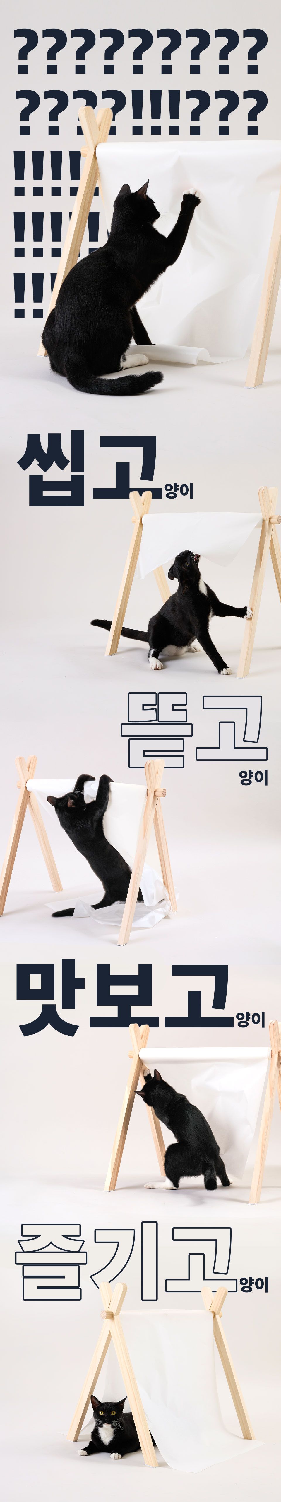 호랑이 숨바꼭질 바스락 커튼 3번째
