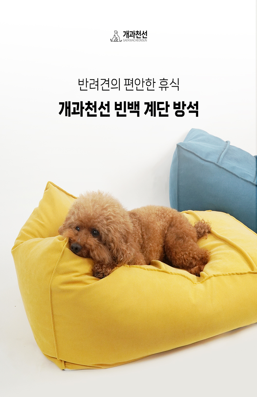 [NEW신상][무료배송] 개과천선 독 빈백 계단 방석 (골드 옐로우/사파이어 블루) 5번째