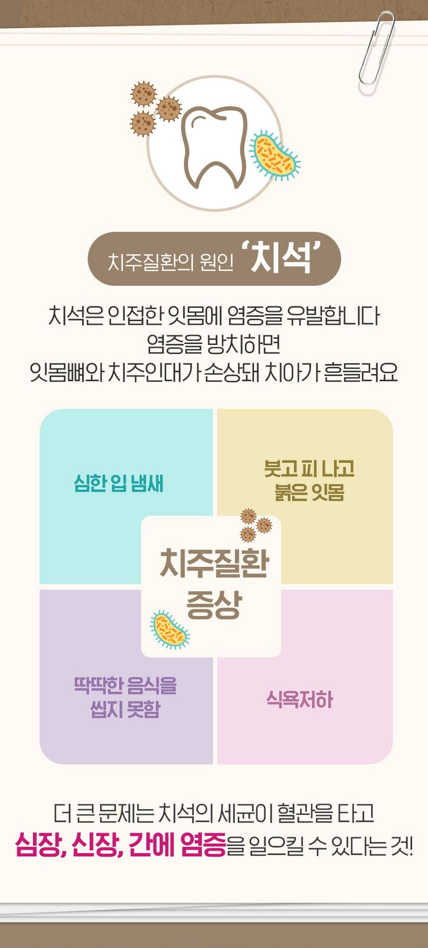 [무료배송] 원헬스 실리콘 칫솔 블루 중형 8번째