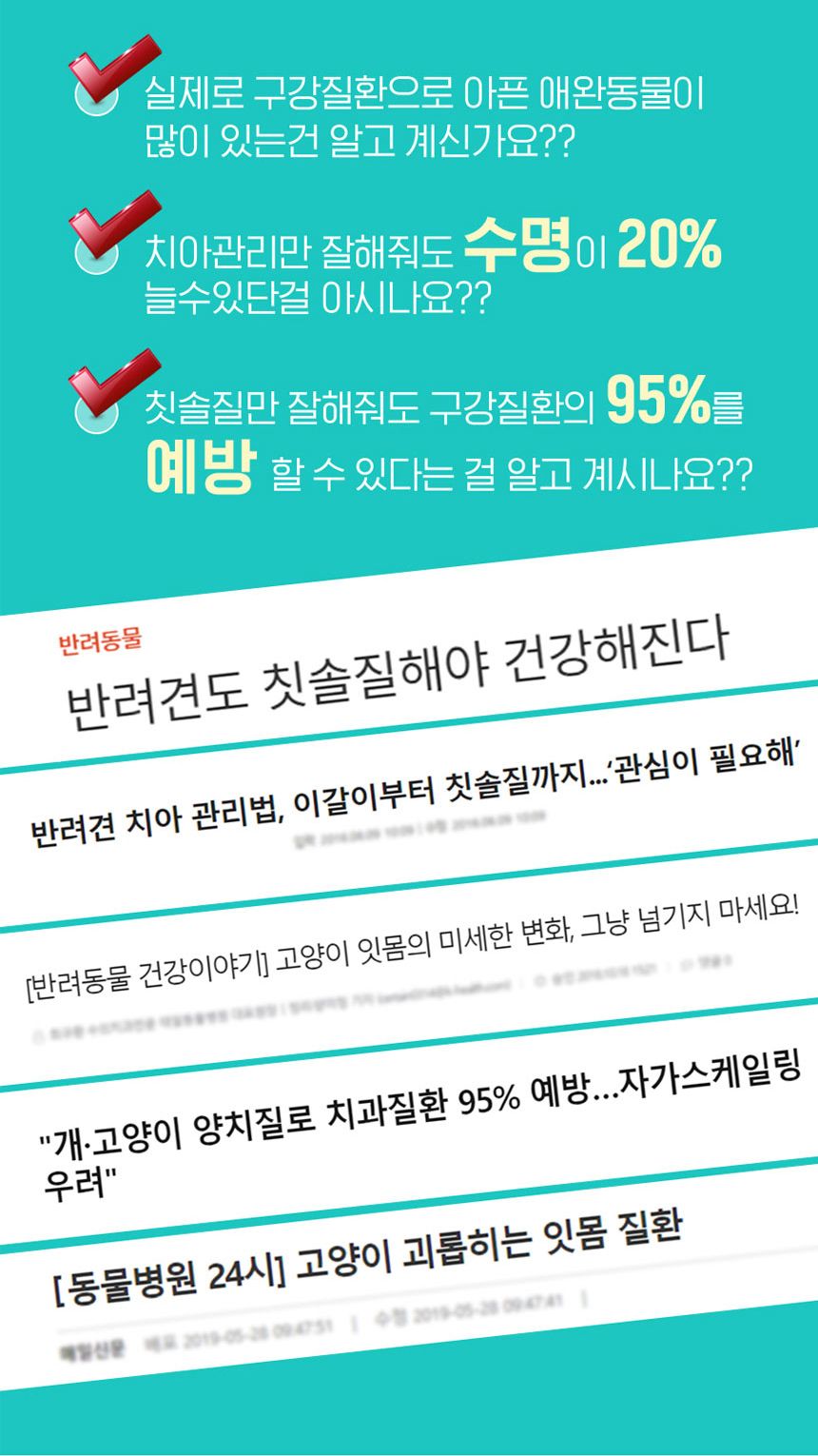 [무료배송] 원헬스 실리콘 칫솔 블루 중형 6번째