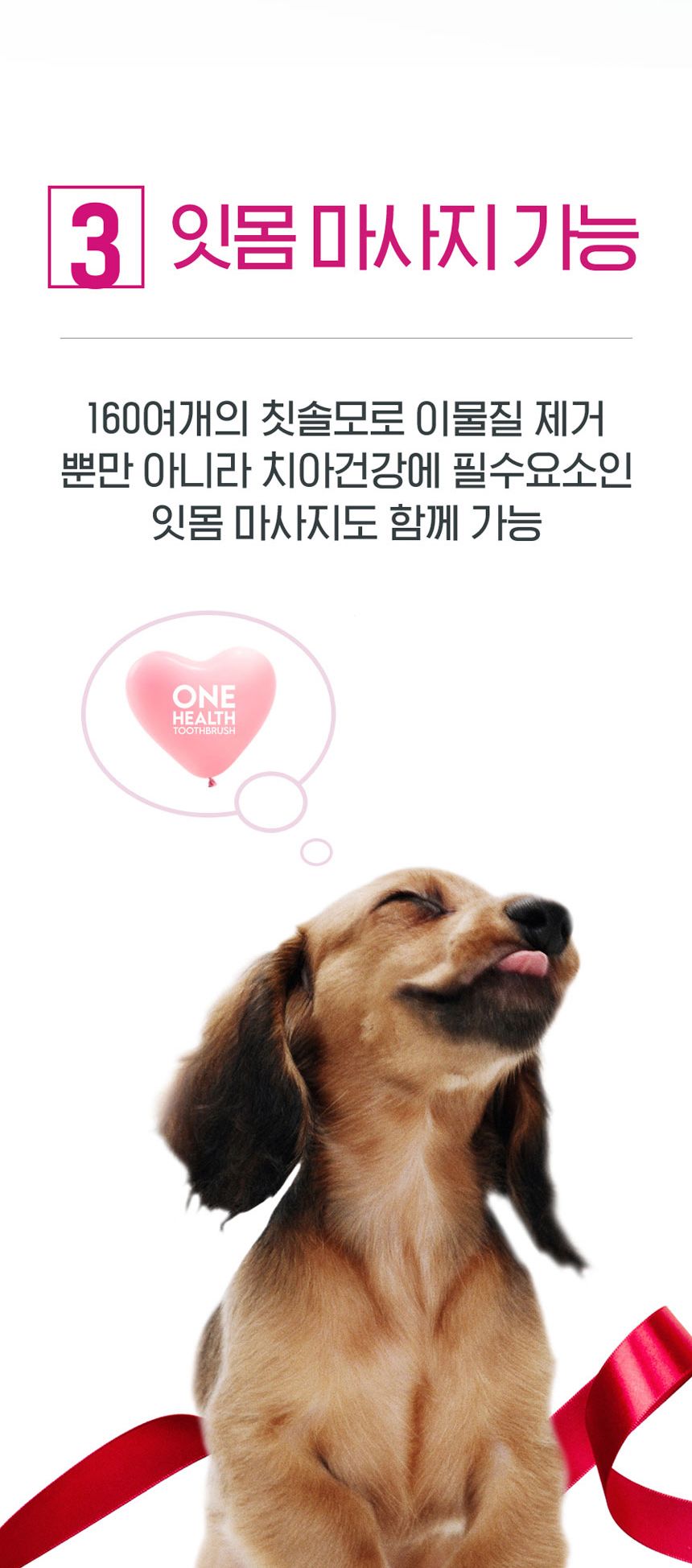 [무료배송] 원헬스 실리콘 칫솔 블루 중형 24번째