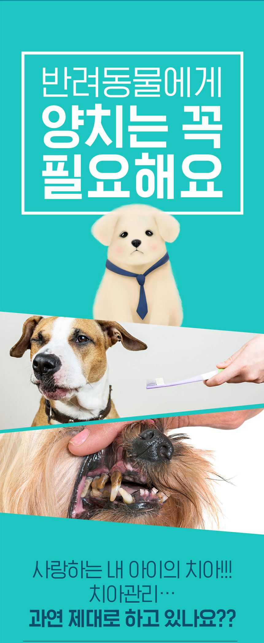 [무료배송] 원헬스 실리콘 칫솔 블루 중형 5번째