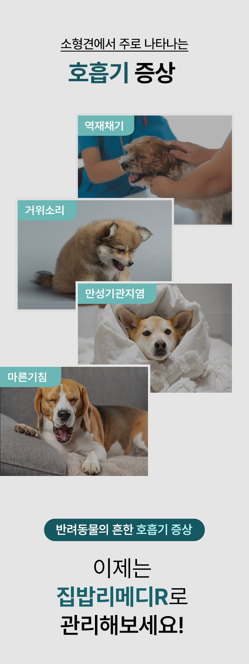 [NEW신상][무료배송] 집밥프로젝트 집밥리메디R 기관지케어 120g 3번째