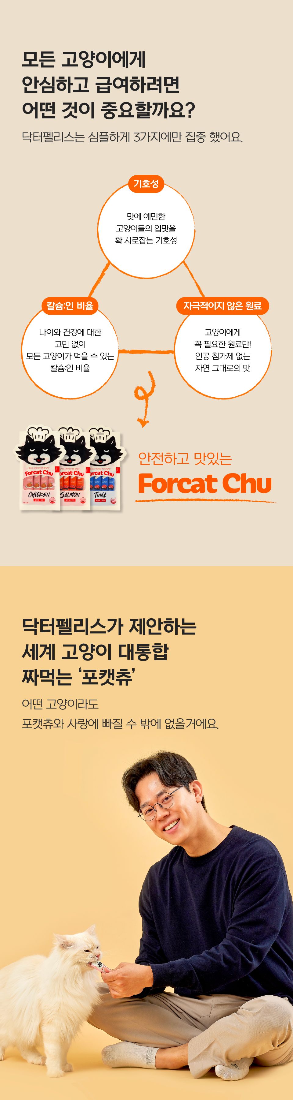 [특가할인]닥터펠리스 캣 포캣츄 닭가슴살 14g*4p 6번째