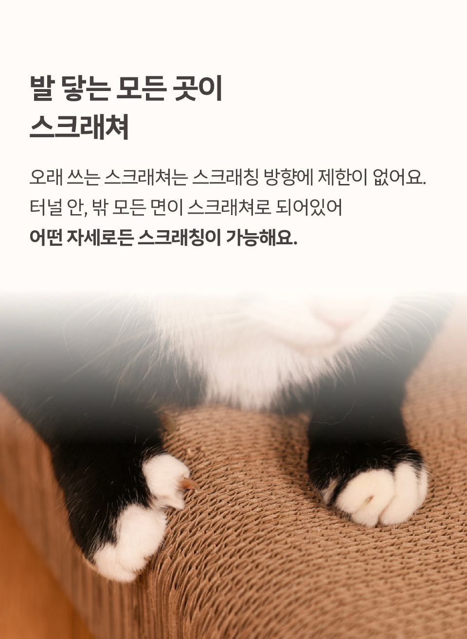 FAPER 오래 쓰는 보드 스크래쳐 360 5번째