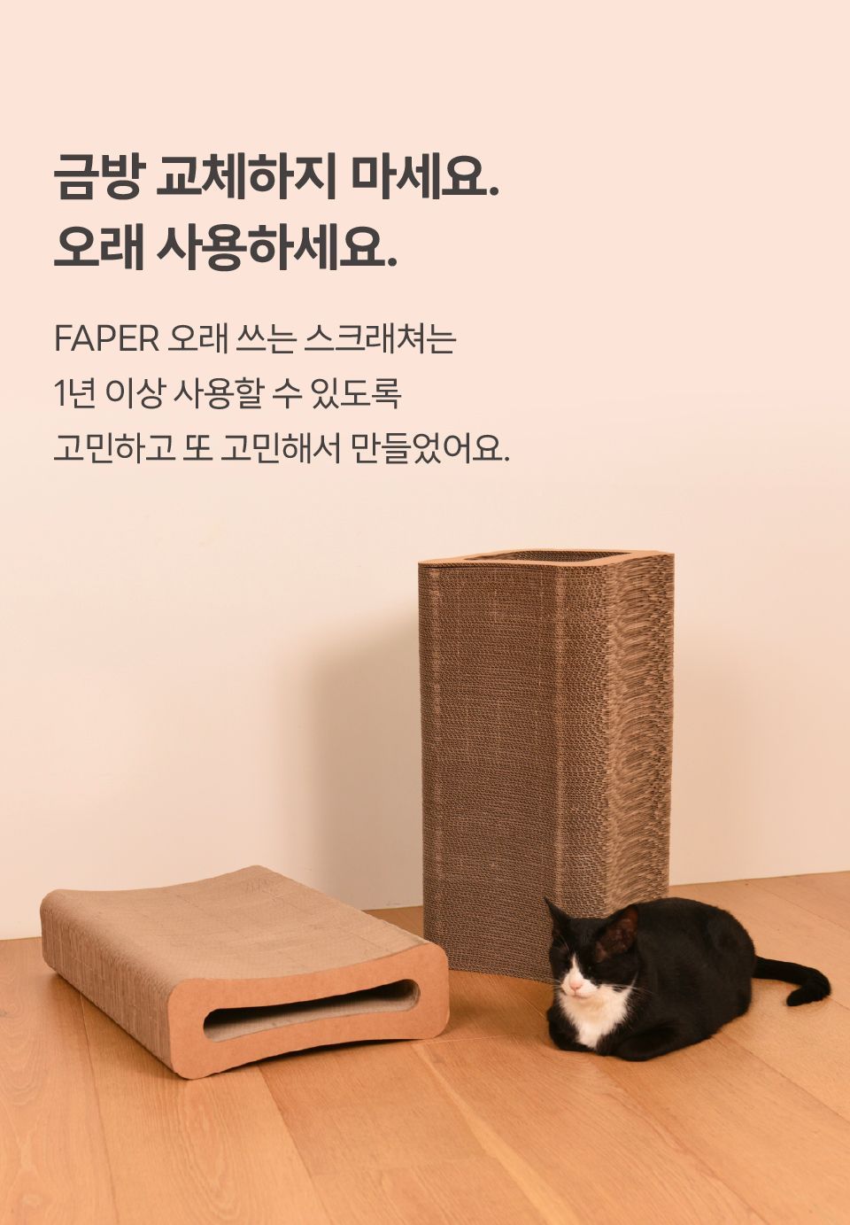 FAPER 오래 쓰는 보드 스크래쳐 360 3번째