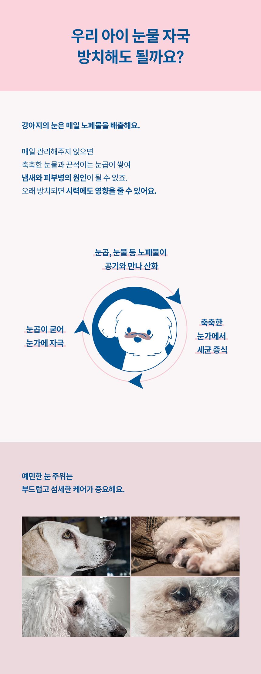 [NEW신상][무료배송] 두잇 클린아이 핑거티슈 4번째