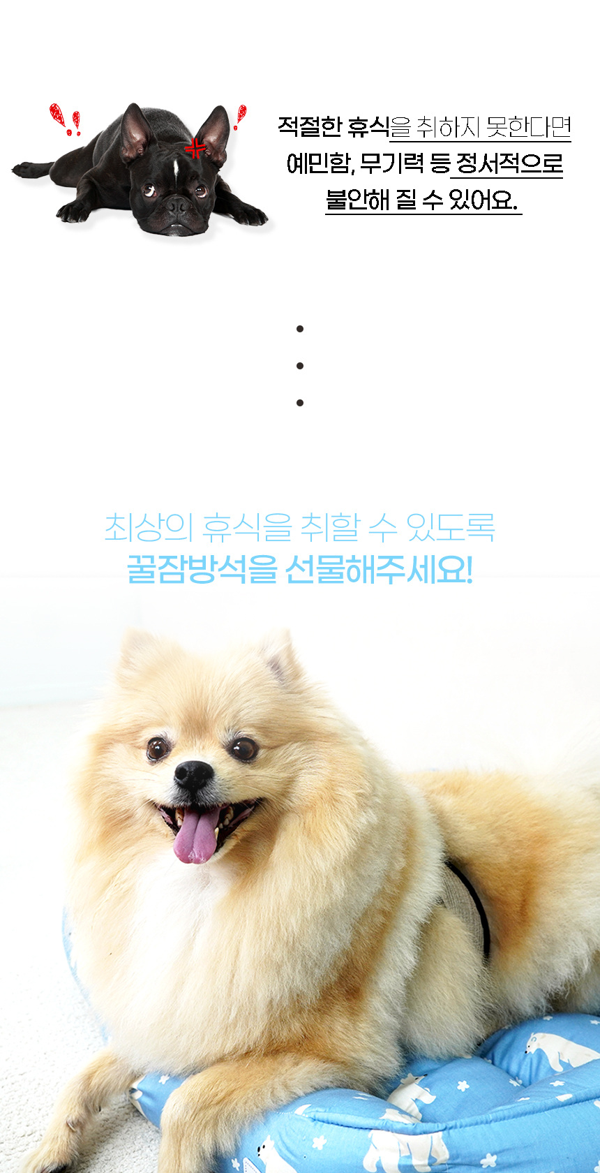 [NEW신상][무료배송] 개과천선 푸스 방석 블루 3번째