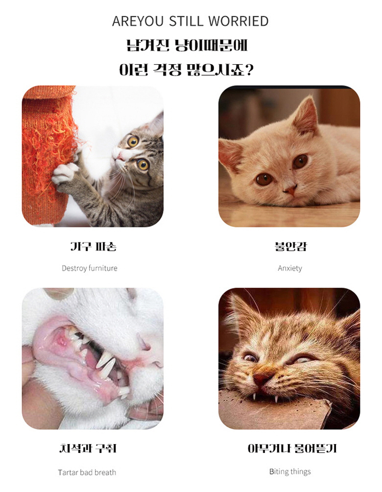 [무료배송] 예보들 캣 소리나는 폼폼볼 핑크/옐로우/블루 4번째