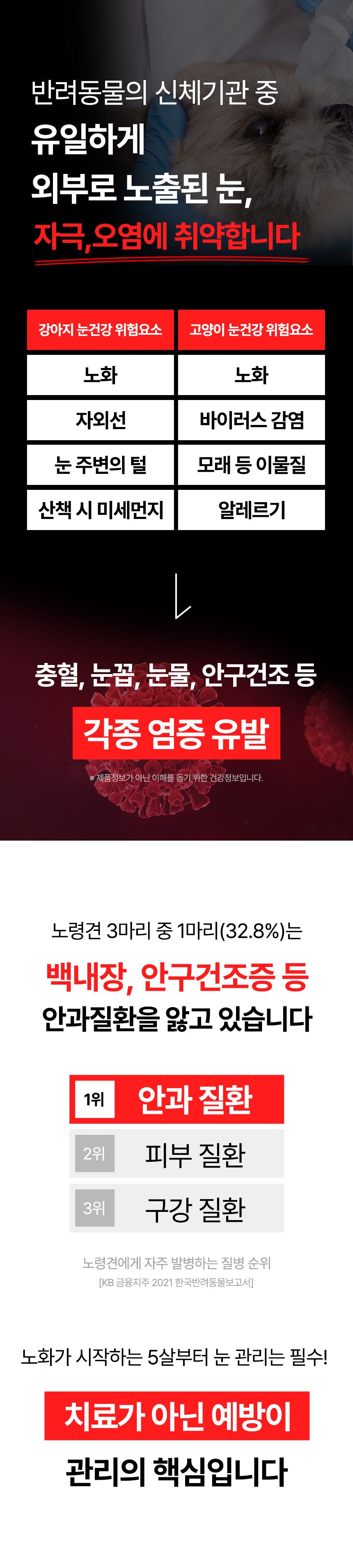 [체험단] 펫생각 데일리케얼 아이즈 PRO 눈 영양제 60캡슐 8번째