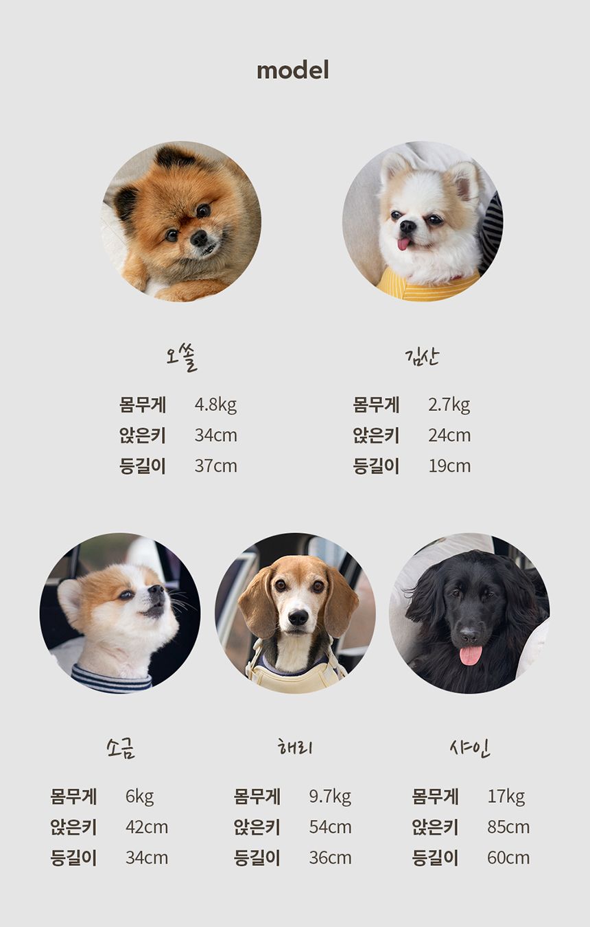 [무료배송] 두잇 고고카시트 M-L 27번째